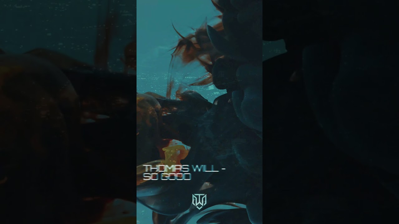 #thomaswill