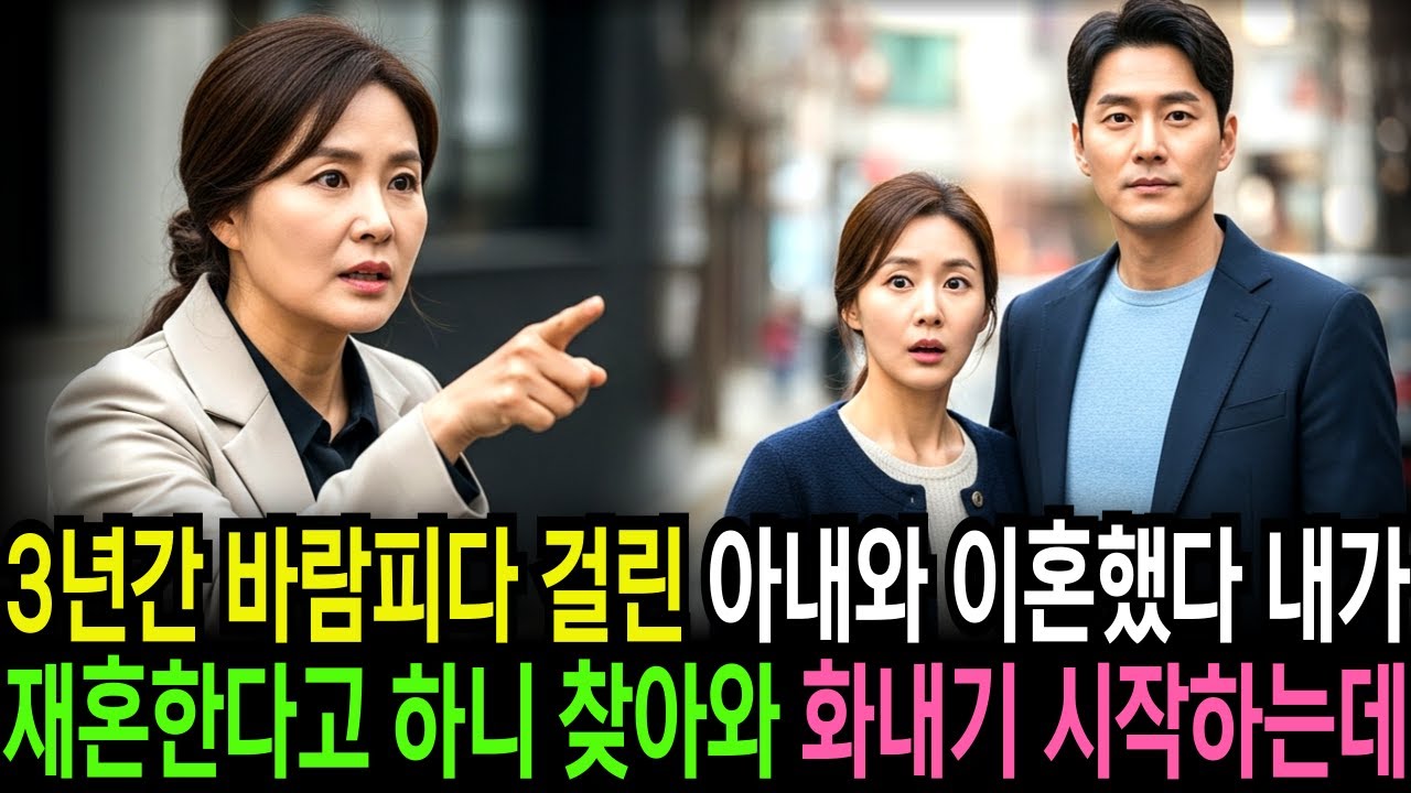 3년간 바람피다 걸린 아내와 이혼했다 내가재혼한다고 하니 찾아와 화내며 행패부리는데
