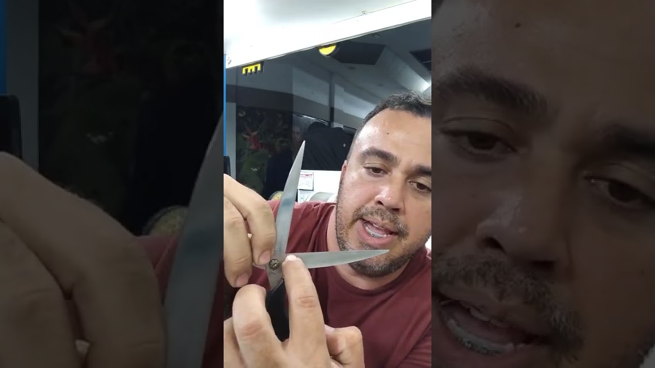 AFIAÇÃO TESOURA simples cabo de plástico com (Theo cutelaria)