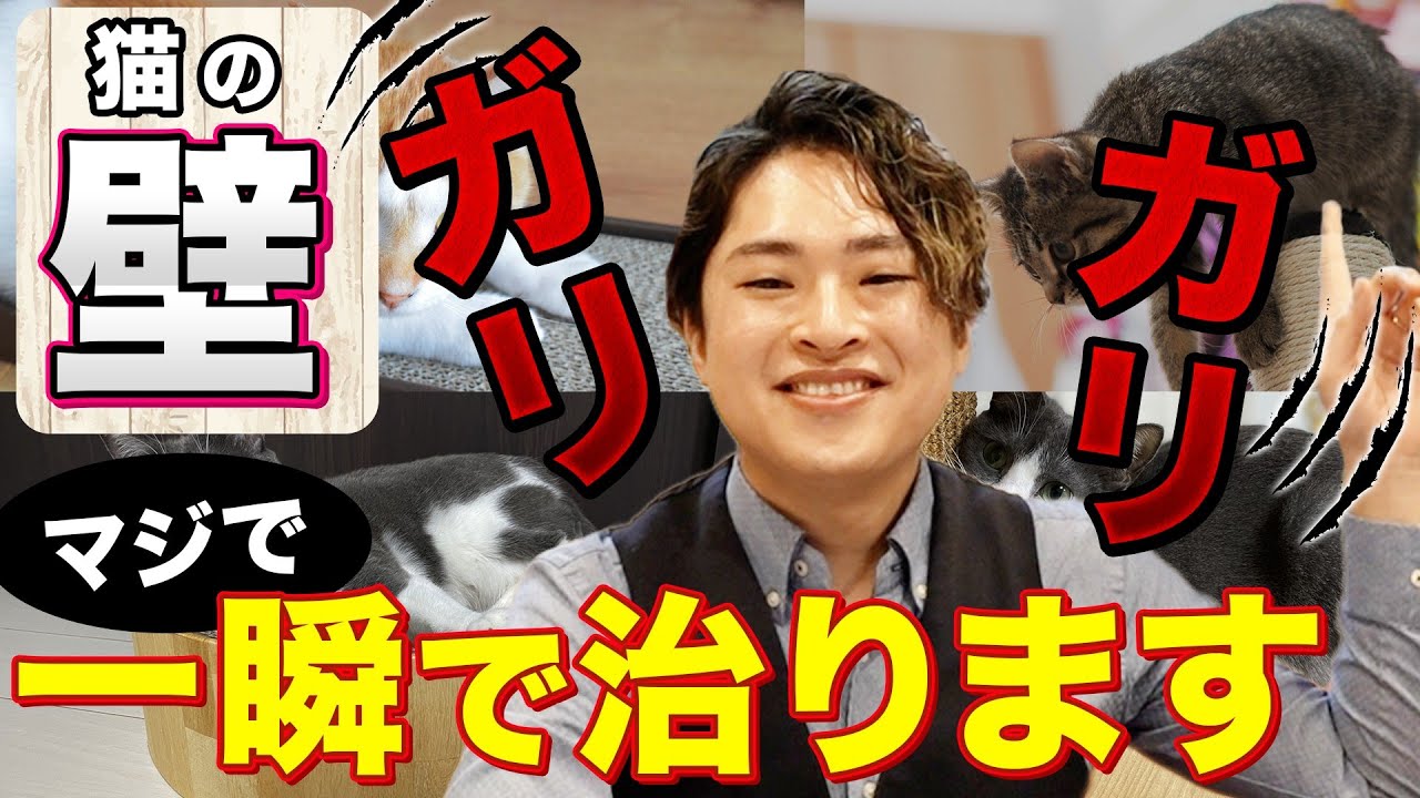 【猫の「爪とぎ」諦めていませんか？】それ、超簡単に治ります！！！