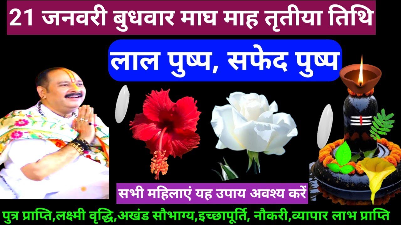 🕉 21 जनवरी बुधवार माघ माह तृतीय तिथि लाल पुष्प, सफेद पुष्प अचूक उपाय अवश्य करें 🙏❤#shiv#upay