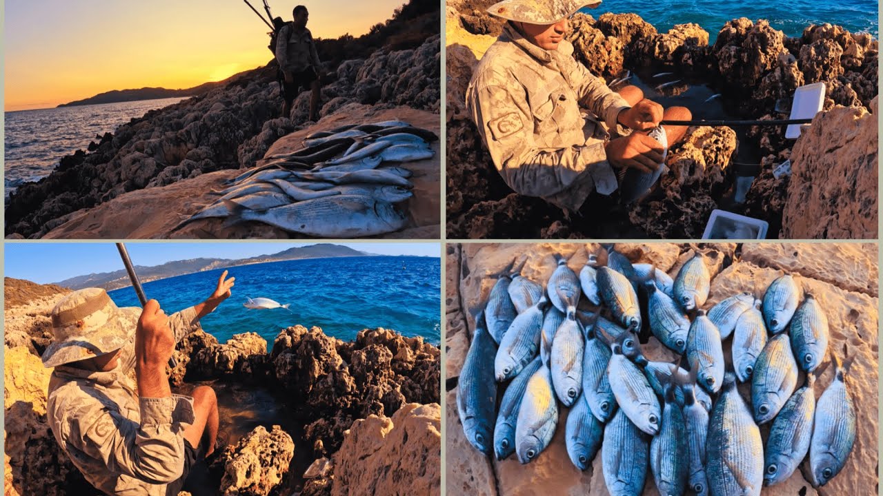 Melanur Avı: Kaş'ta Yeni Bir Gün