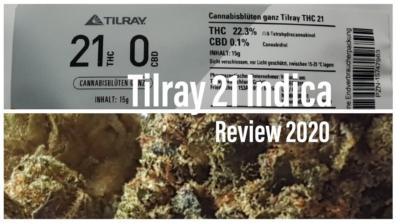 Medizinisches Cannabis Tilray 21 Master Kush Review abc-cannabis