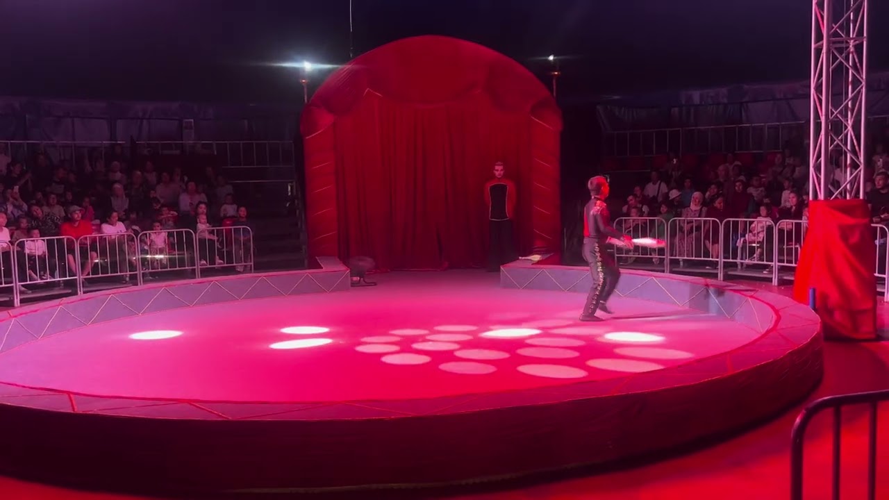 Juggling alisher #circus 