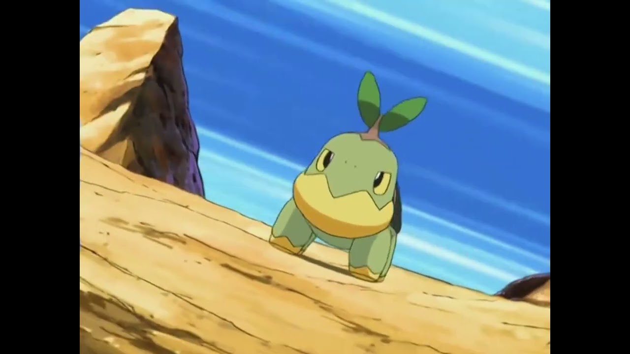 Pokemon:Turtwig vs Rampardos