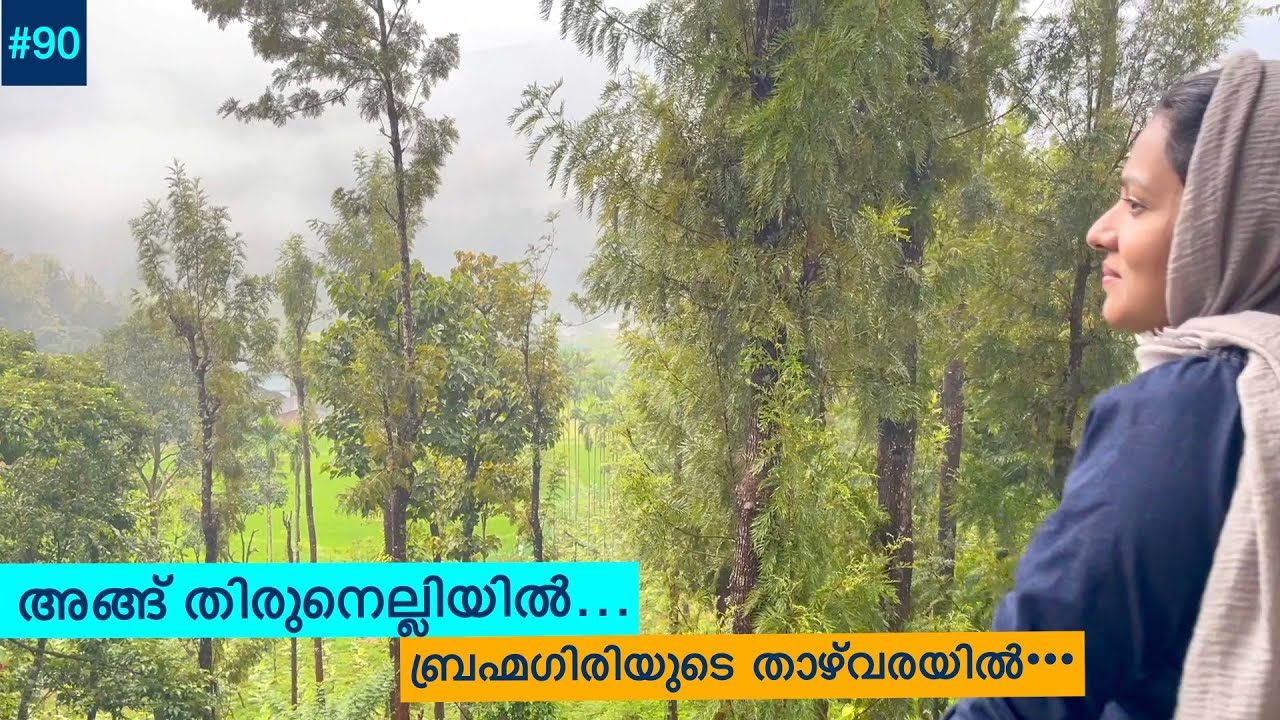 Thirunelli Vlog Wayanad |  Mayookham Resort  | Tholpetty Forest | Kaalindhi River |Safnas Records#90