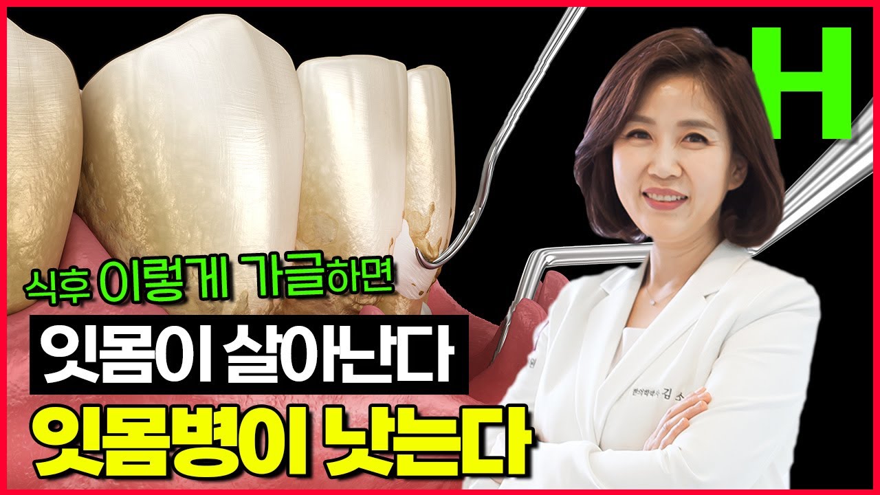 잇몸 통증 주목! 양치하고 이걸로 가글하세요 약초로 잇몸 통증 줄이기