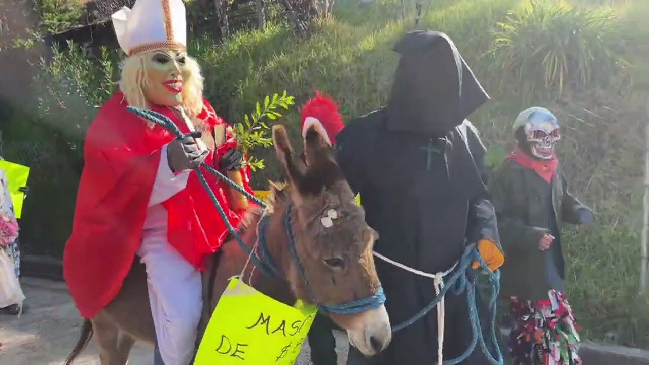 Video Cajonos está en vivo