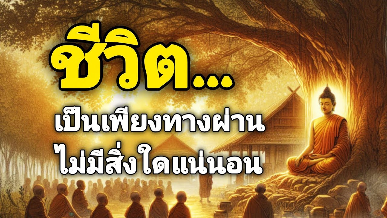 ชีวิตเป็นเพียงทางผ่านไม่มีสิ่งใดแน่นอน#คติธรรม #คติสอนใจ #คติเตือนใจ 