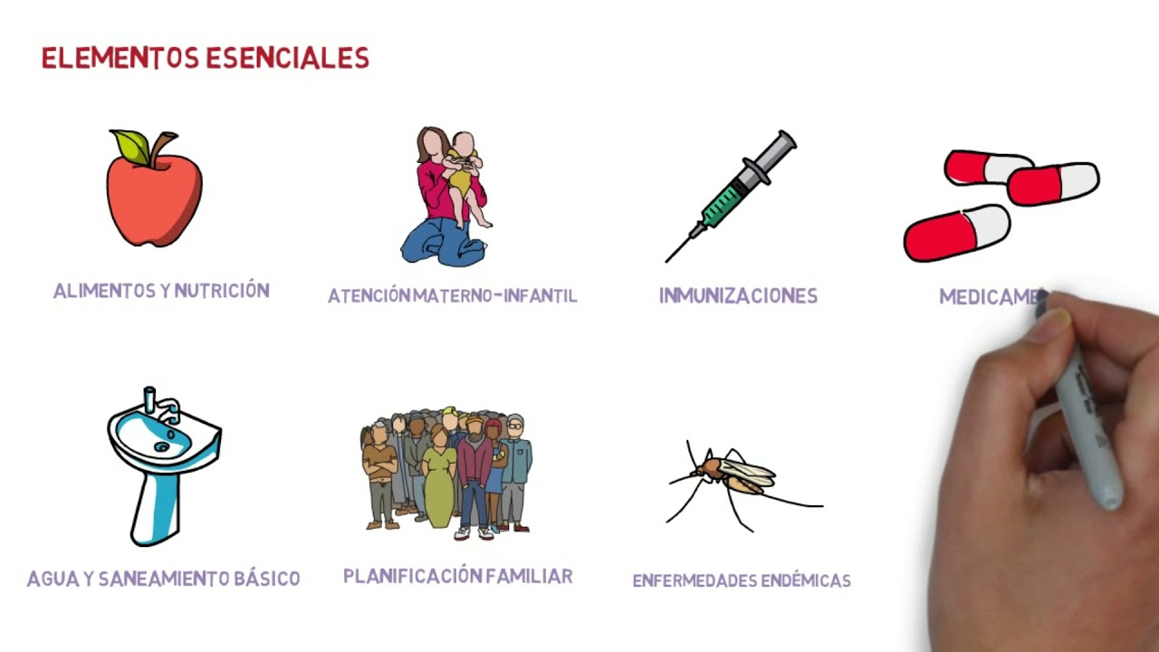MODELO DE ATENCIÓN INTEGRAL DE SALUD (MAIS)