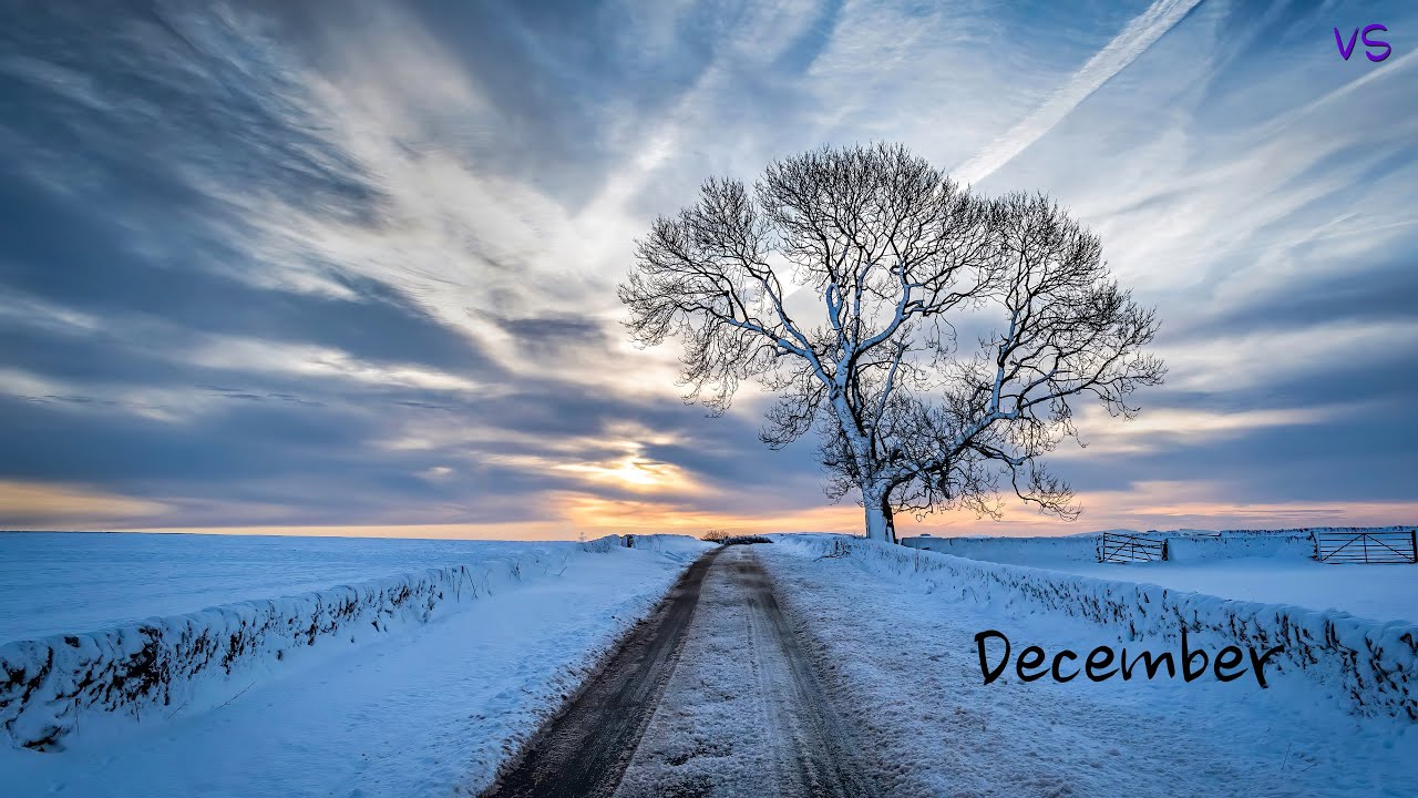 December - Violet Sky Production