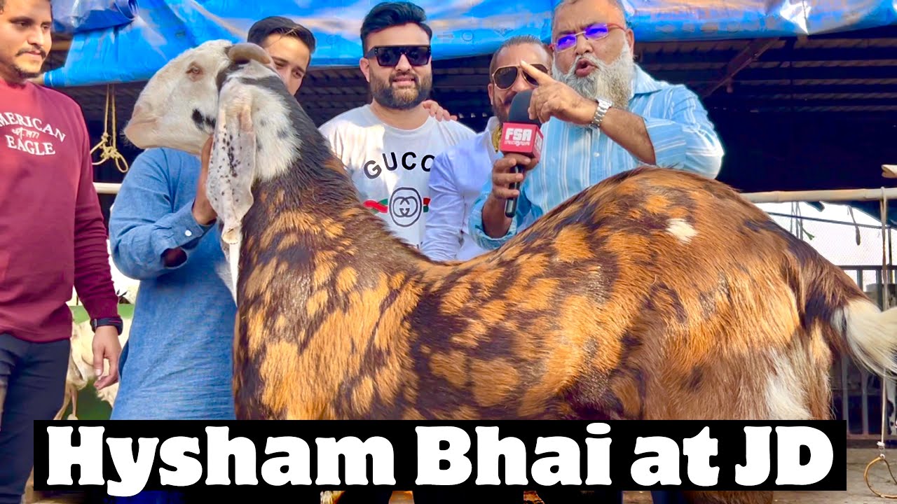 Goat Tycoon Hysham Shaikh At JD Goat Farm With His Collection