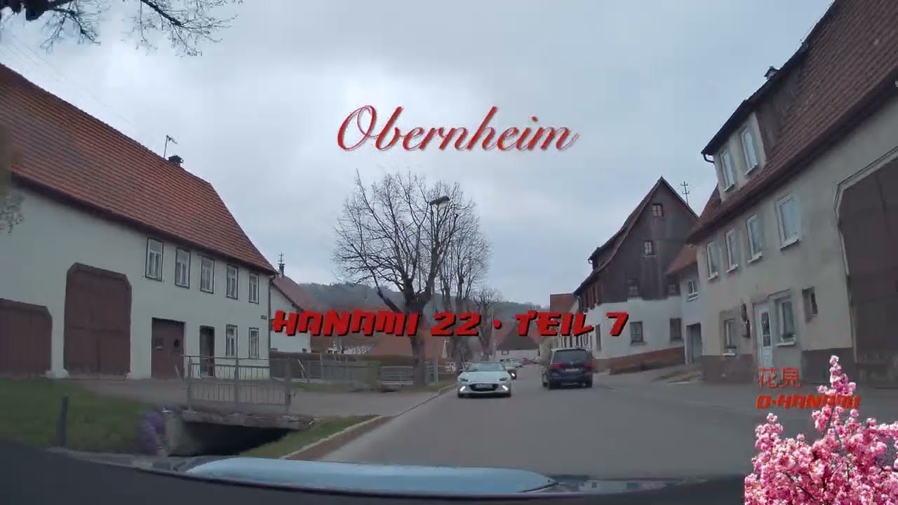 Hanami 7 - Obernheim