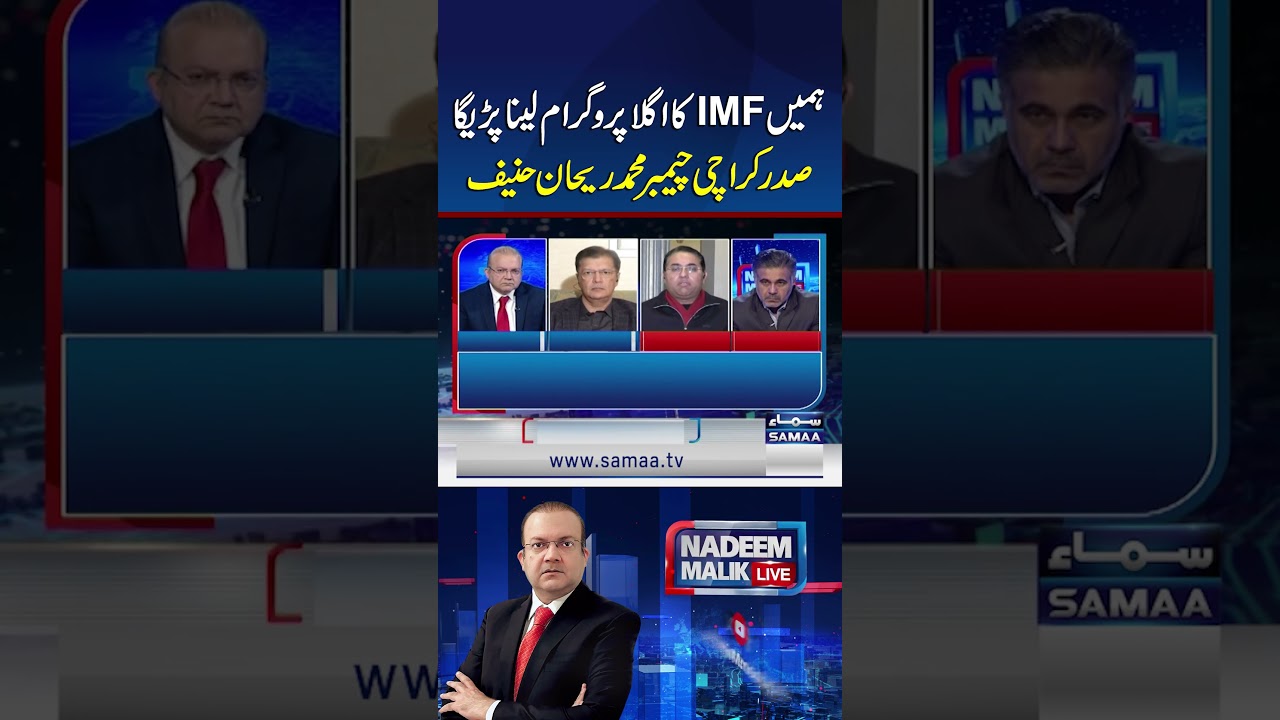 We&rsquo;ll Have to Take the Next IMF Program,&rsquo; Says Muhammad Rehan Hanif | Samaa TV
