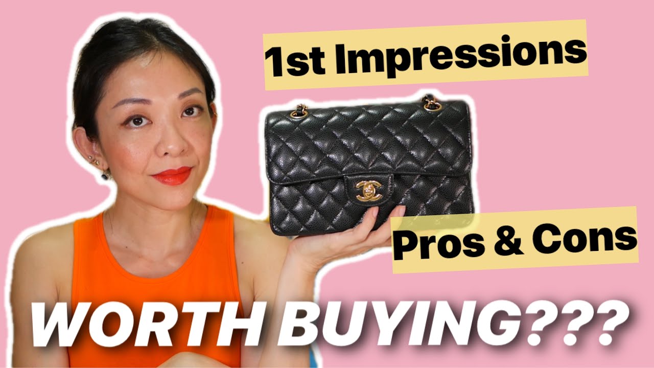Chanel Classic Flap Small *WORTH BUYING???* | 1st Impressions, Pros & Cons, What Fits | Kat L