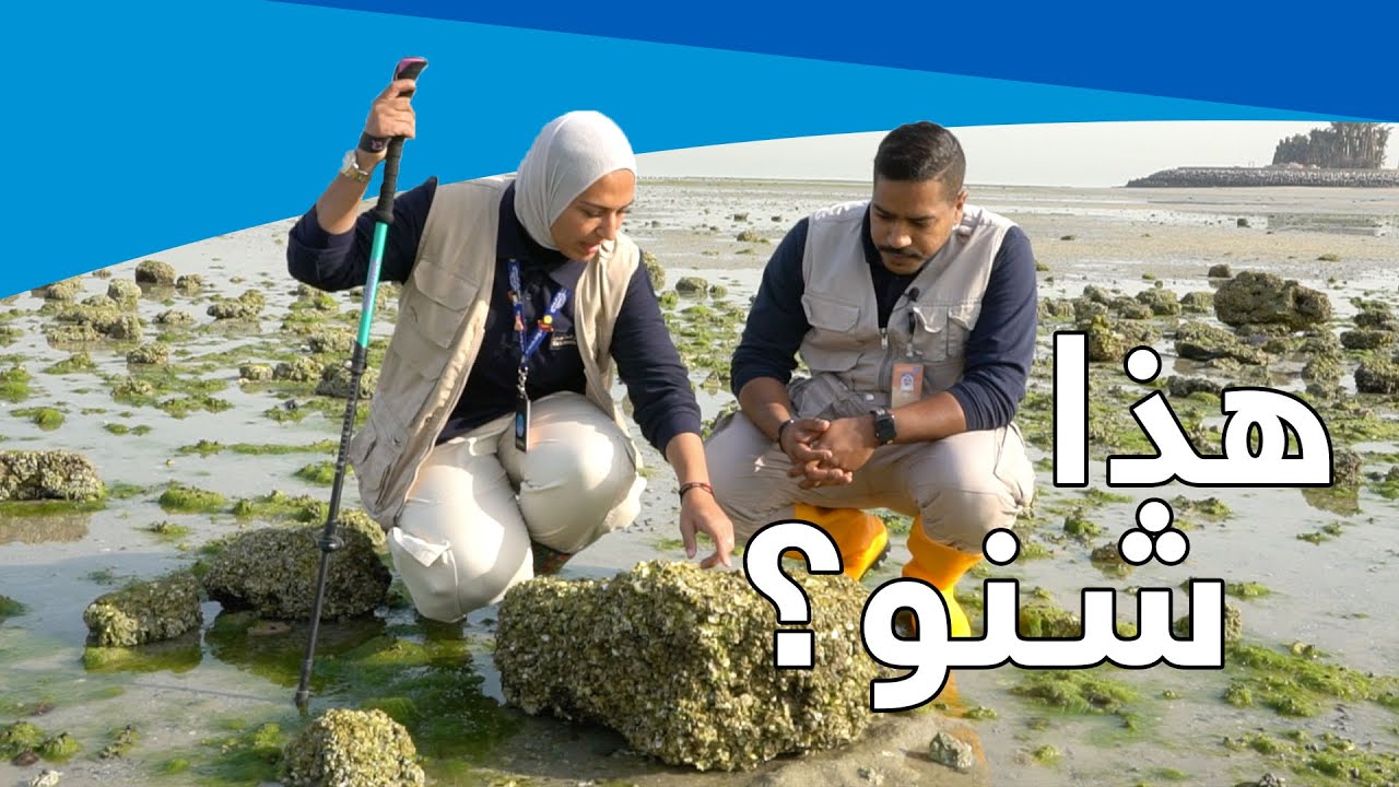 المركز العلمي يقدم برنامج 