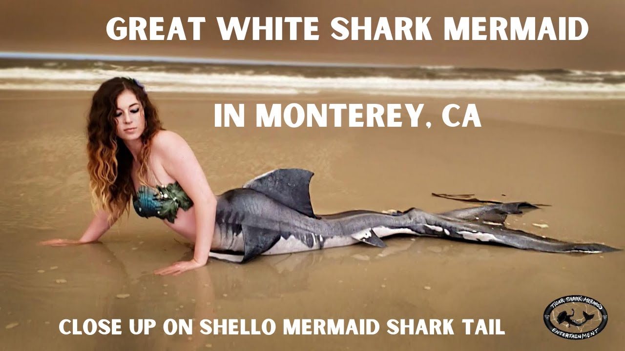California Mermaid - Monterey Bay - Shark Mermaid - Mermaid Photoshoot Video