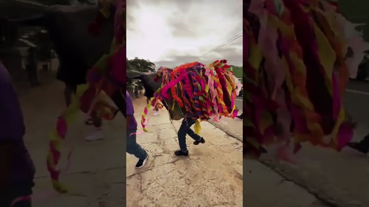 Festival de danza| Lomas de San Juan