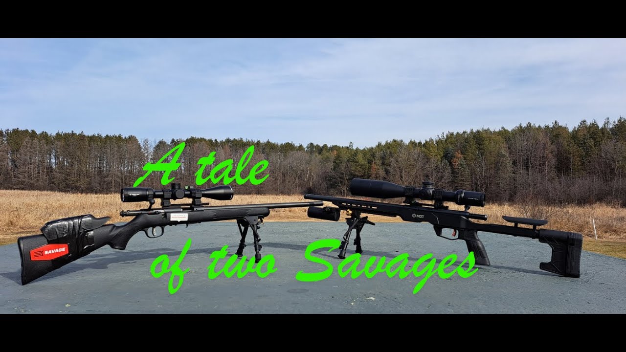 Savage MkII FV против Savage B22 Precision?