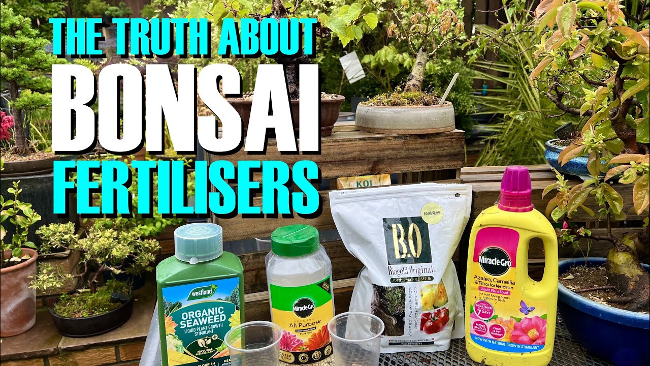The Truth About Bonsai Fertilisers