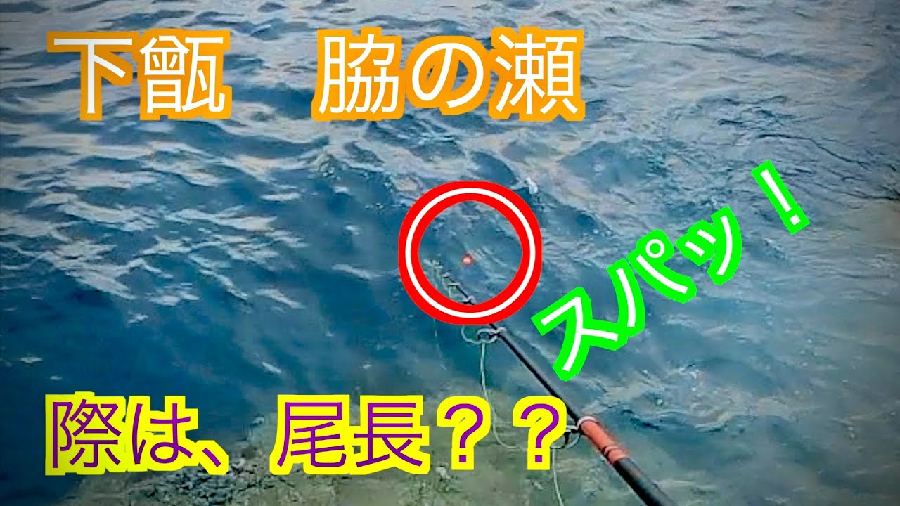 『下甑』際に潜む大物が気になるんです。　後編