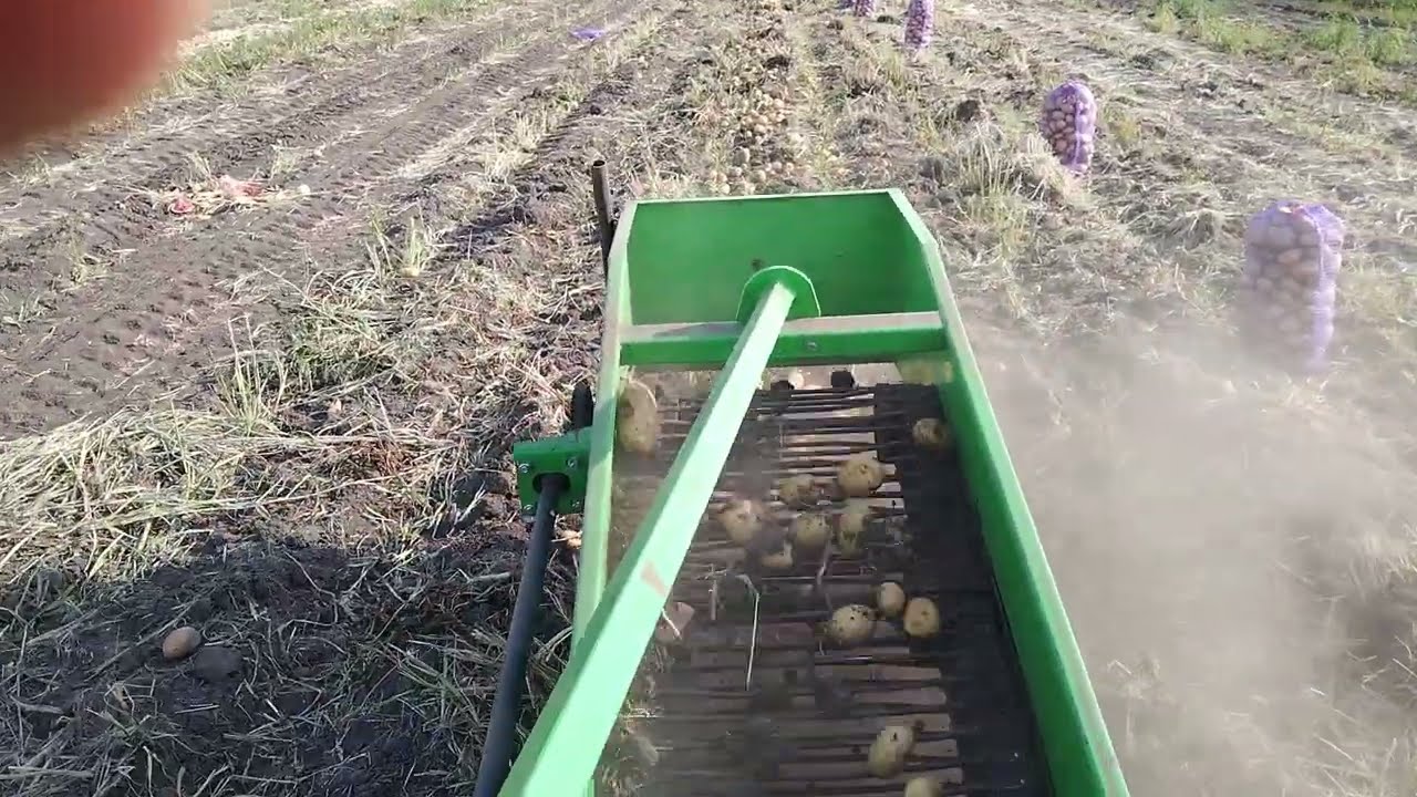 Картоплекопалка Бомет іде як по маслу...