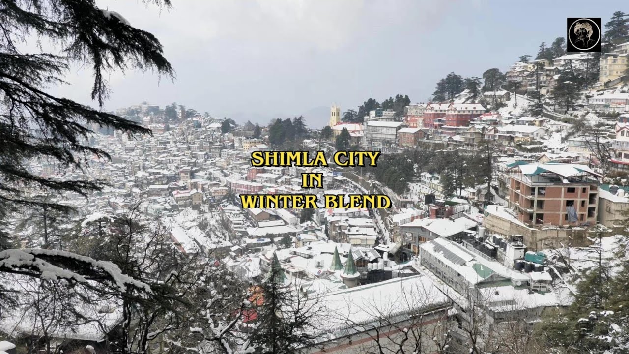 Shimla City In Winter Blend