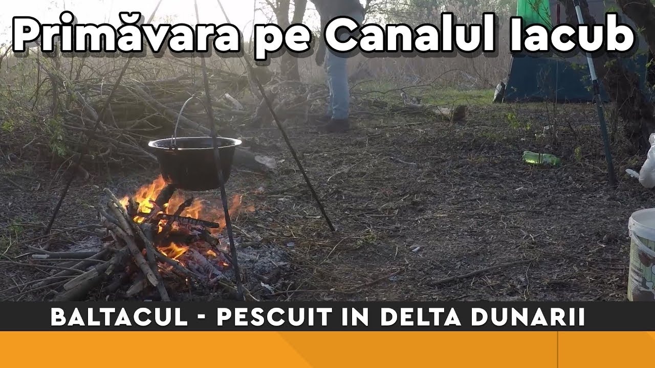 Un pescuit de aprilie 2019 in Delta Dunarii - Canalul Iacub