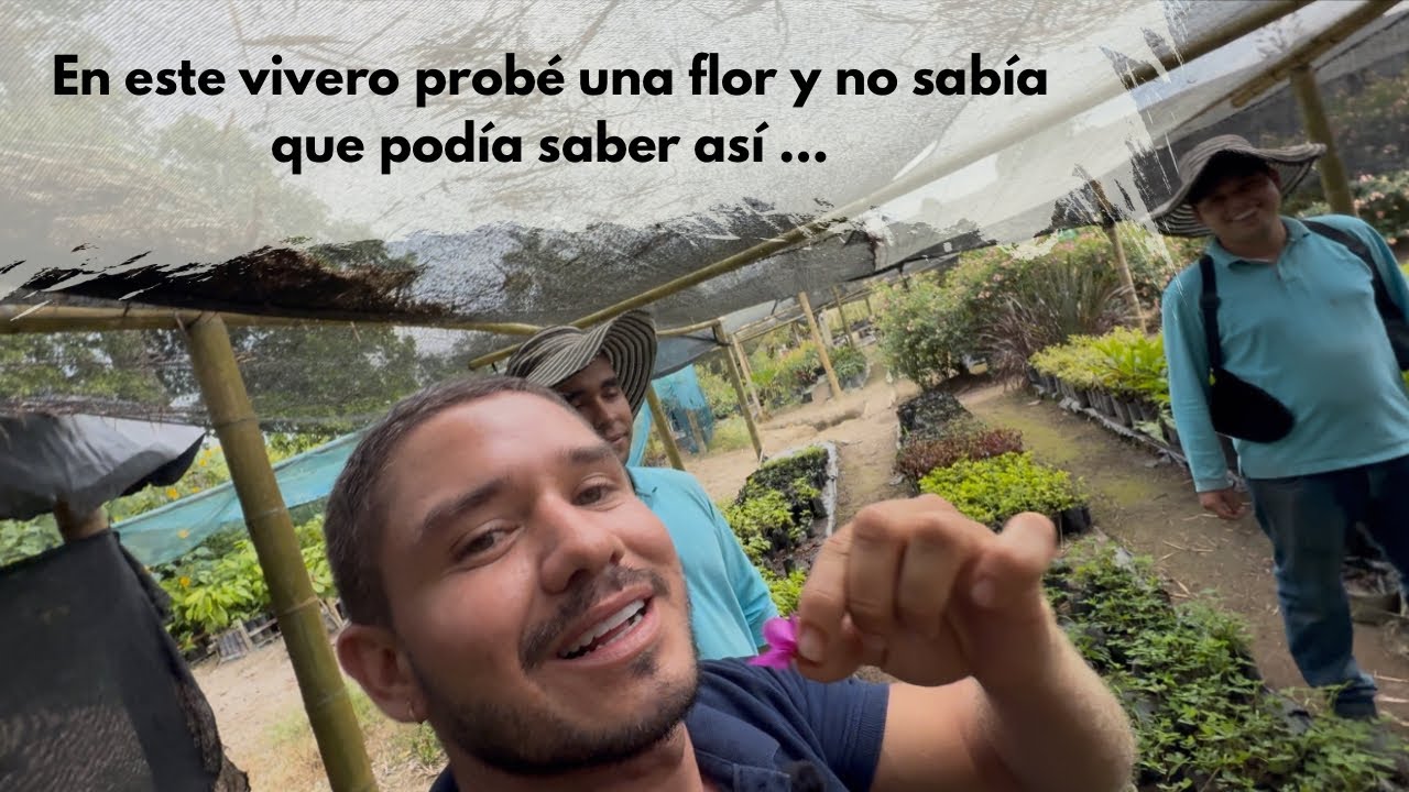 EXPLORANDO VIVERO COLOMBIANO mira lo que encontramos