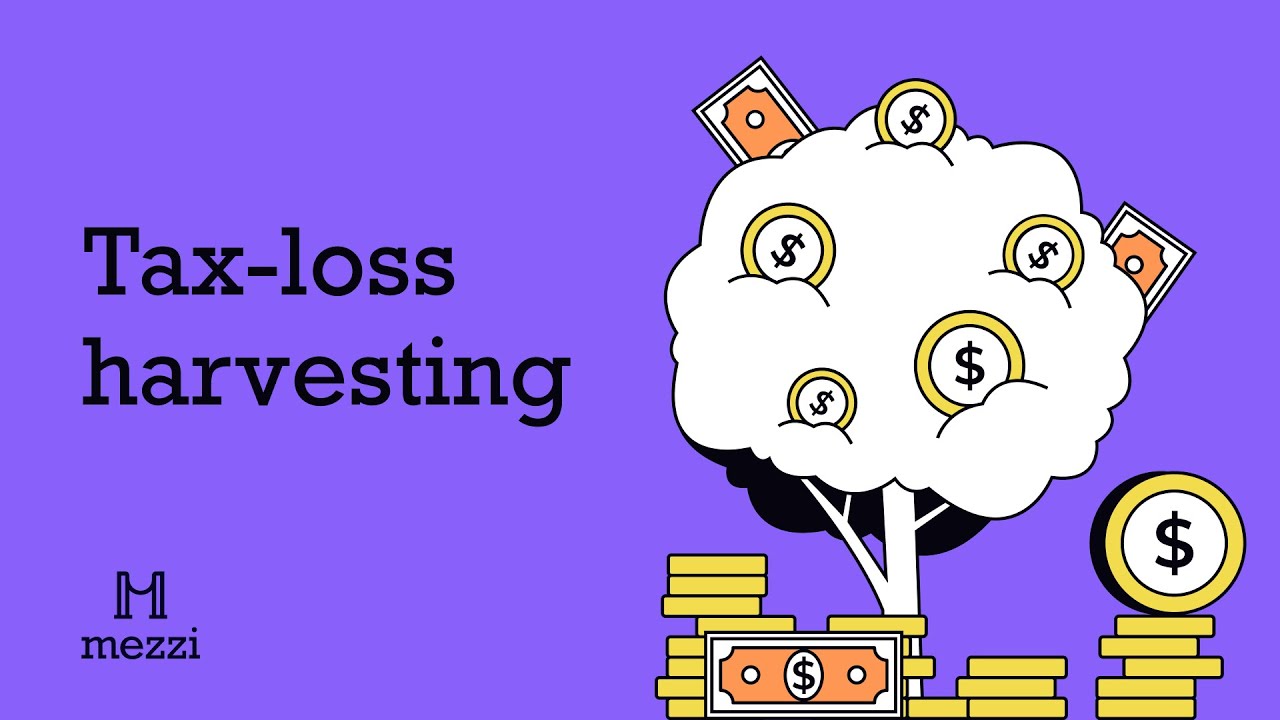 Mezzi: Save on your taxes