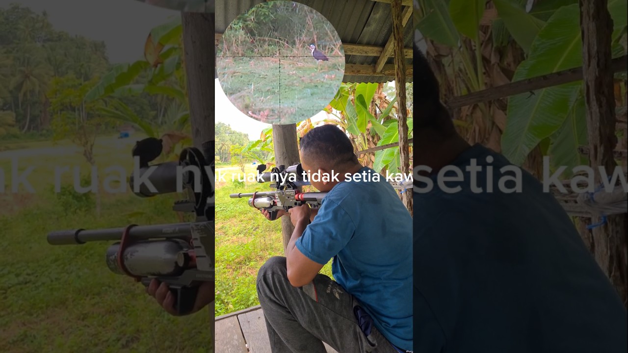 hunting ruak ruak 