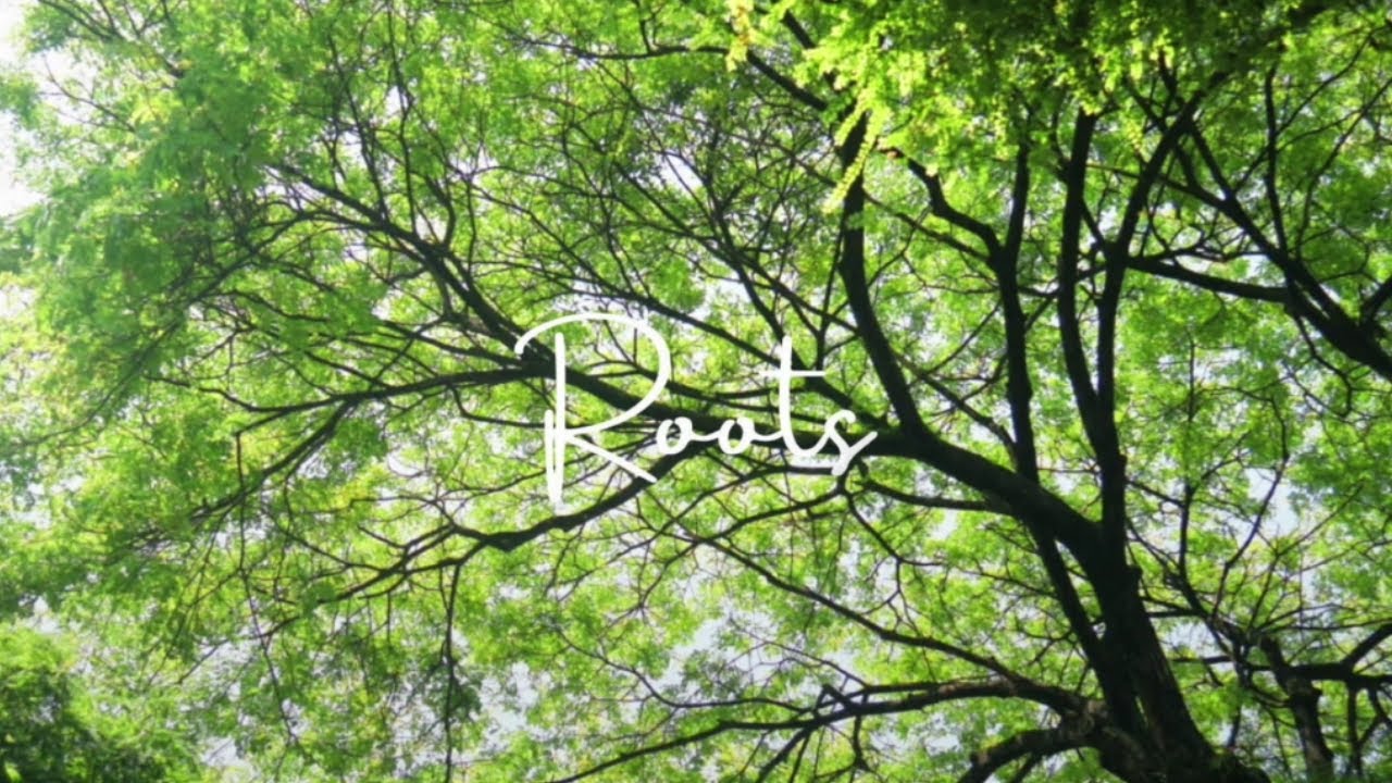 Jennifer Jess - Roots (Official Lyric Video)