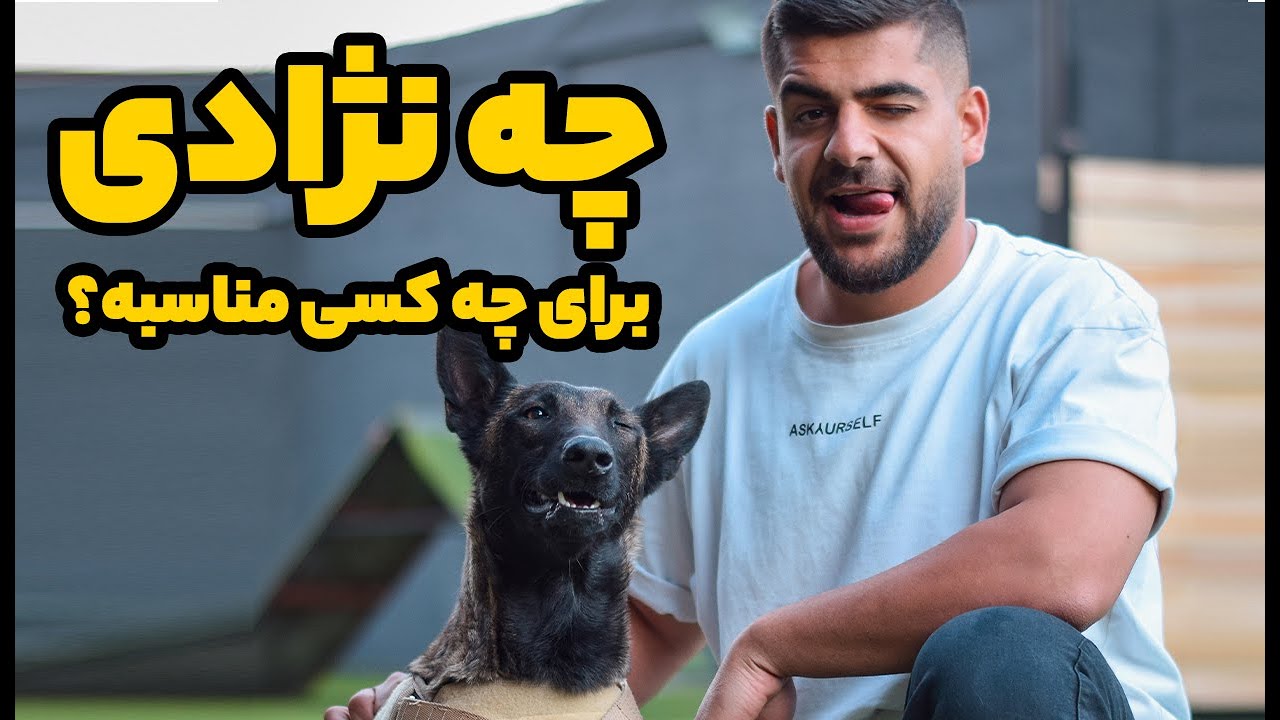 چه نژاد سگی مناسب شماست؟ 🔥❤