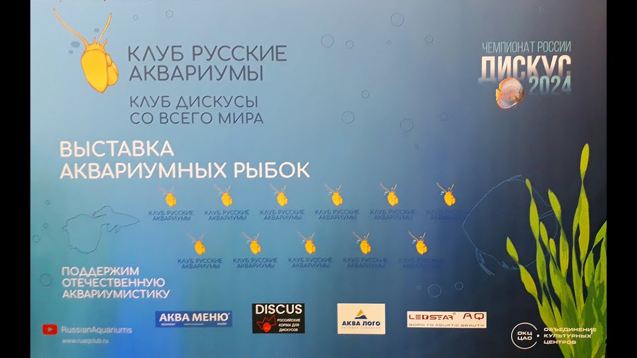 3я Выставка аквариумных рыб 2024! 1 я Всероссийская выставка Дискус-2024г.