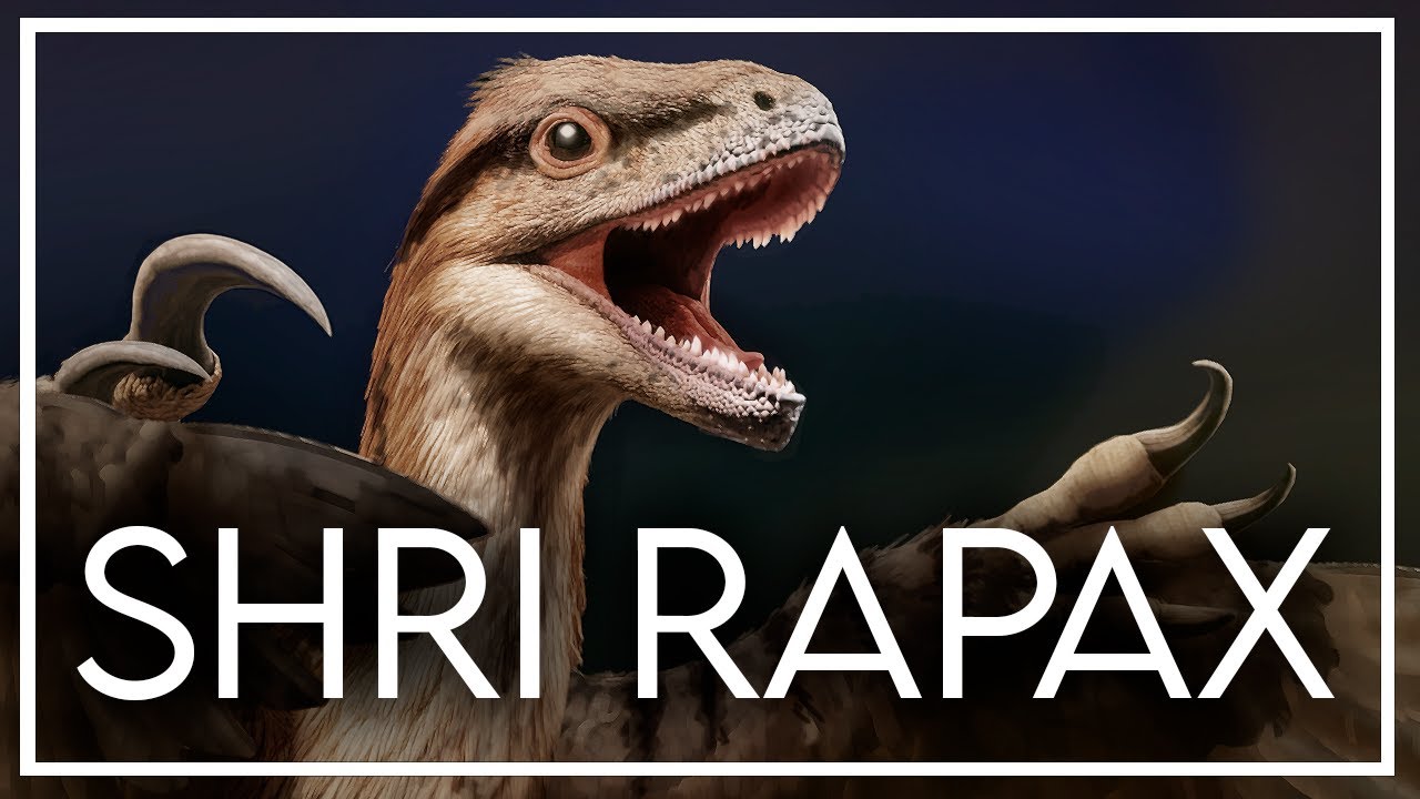 SHRI RAPAX: un nuevo pariente de VELOCIRAPTOR