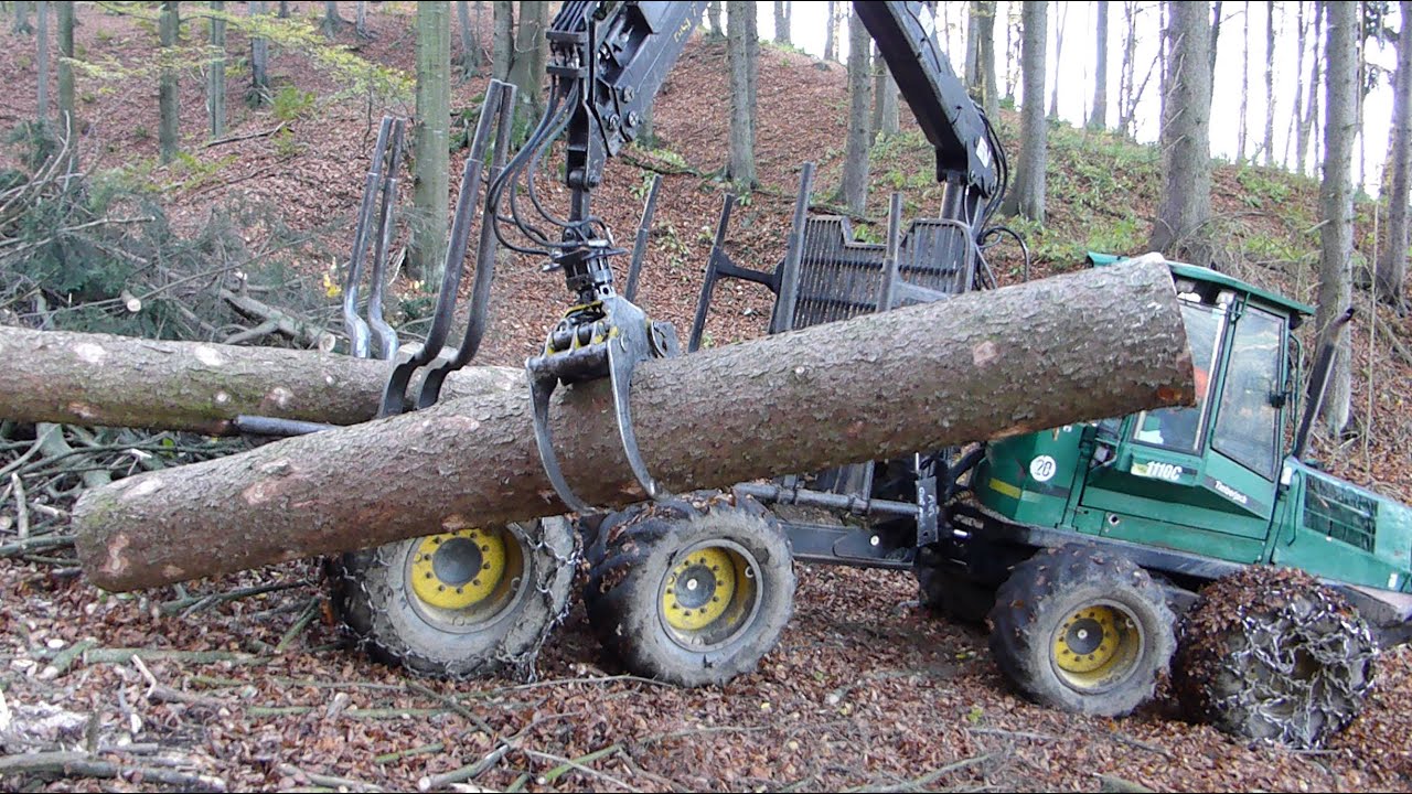 Timberjack - Old Spruce - Alte Fichte