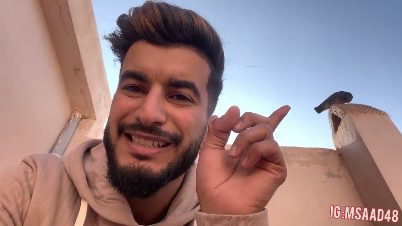شوفو إنتاج حمام 🐣😍 أول زغلول تفقس ف 2023🕊️🔥