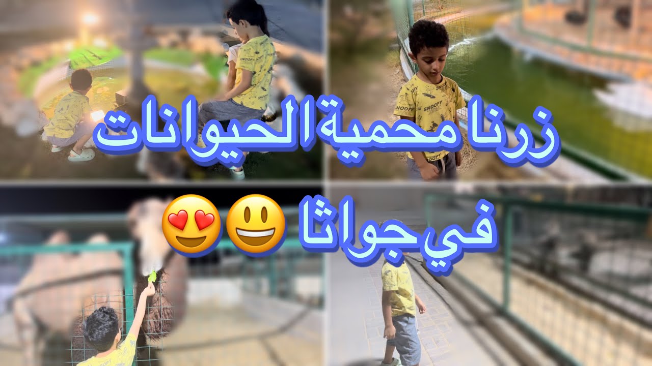 زرنا محمية الحيوانات في جواثا الاحساء 😃😍