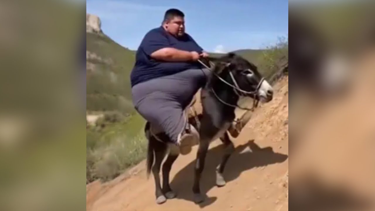 Funniest TikToks Compilation #27