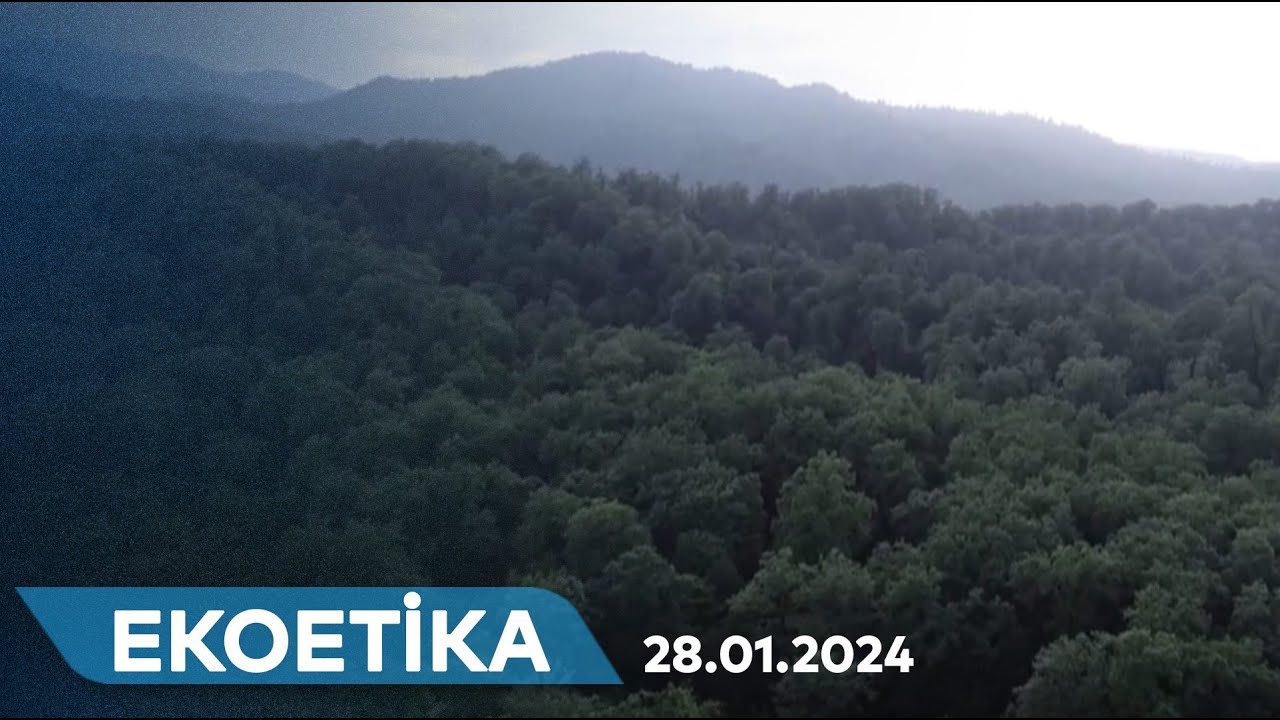 Biomüxtəlifliyi ilə seçilən Azərbaycan təbiəti I EKOETİKA – 28.01.2024