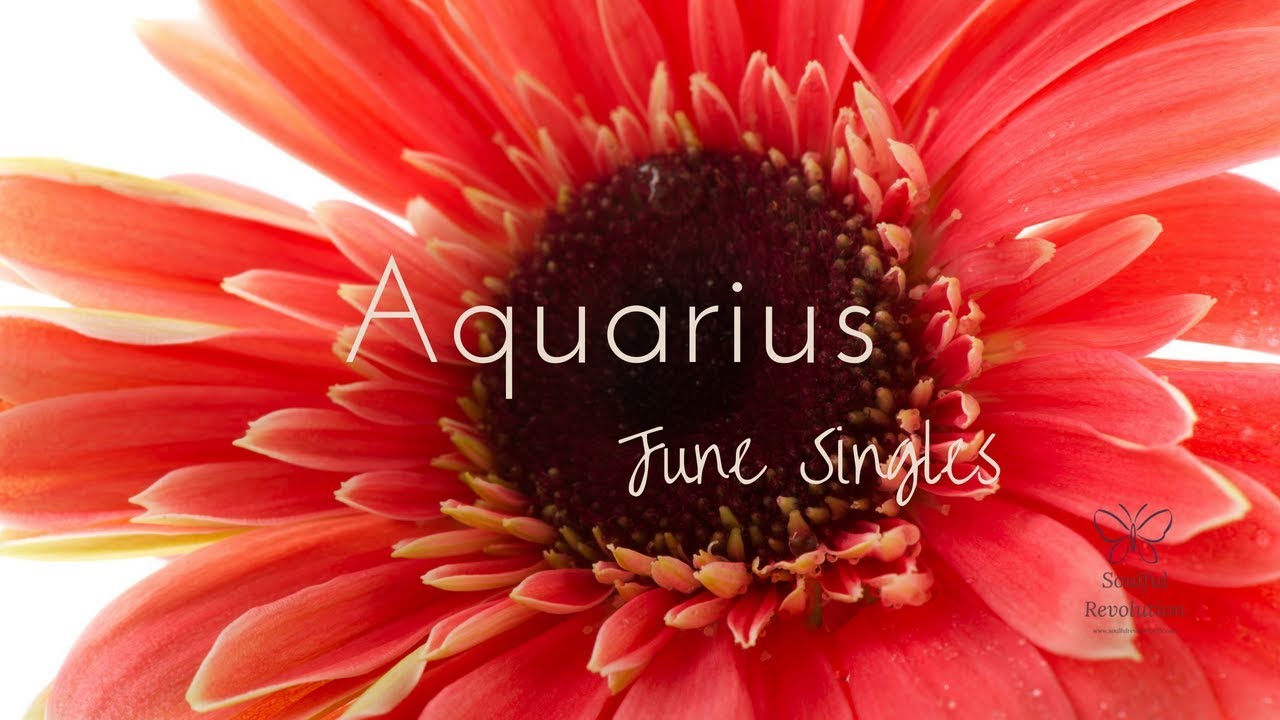 Secret love...revealed! AQUARIUS Singles Reading June 2018