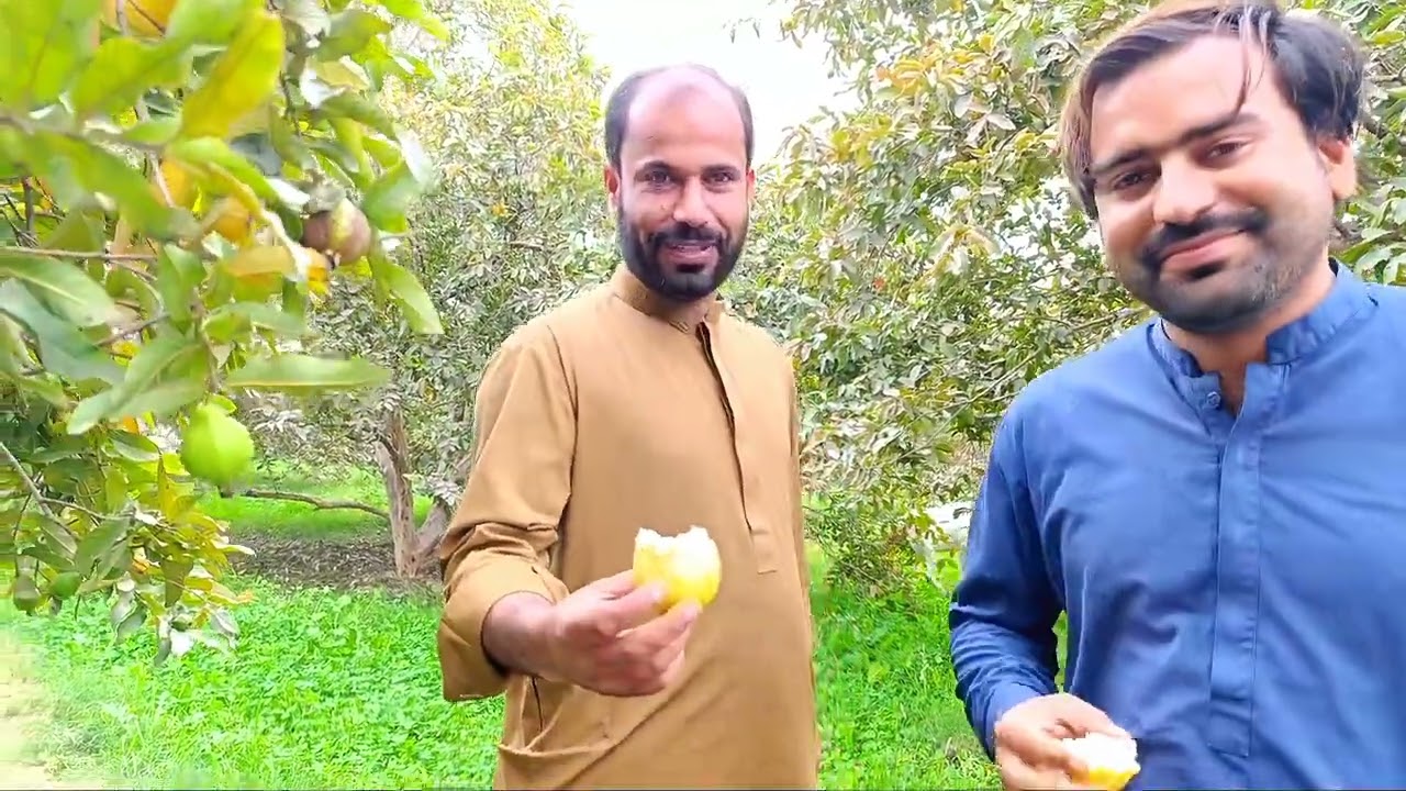 Brahvi funny  video #brahvi  vlog