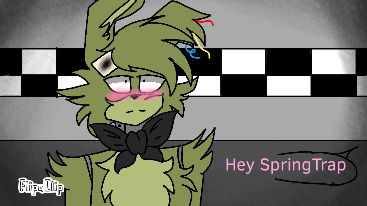 Mangle x Foxy, SpringTrap, or Bonnie #7 (DISCONTINUED)