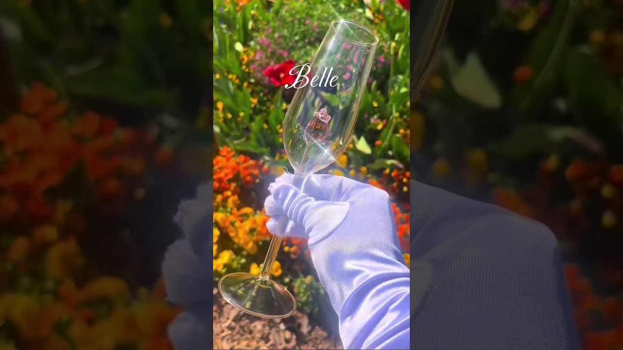 Guess Which Enchanted Princess is Next 🥂 💖 #disneyprincess #glass #disney