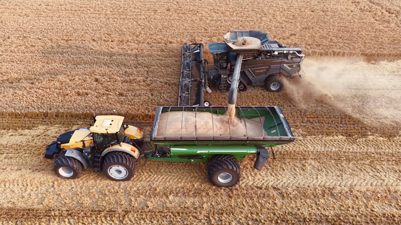 SUPER Wheat Harvest with FENDT IDEAL