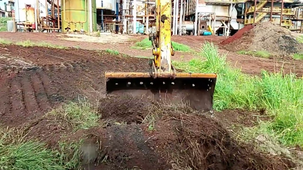 Limpeza de terreno 