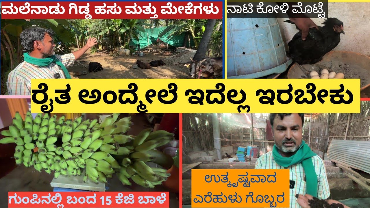 ಇದು ರೈತನ ಬದುಕು ನಮಗೆ ಇದನ್ನು ಬಿಟ್ಟರೆ ಬೇರೆ ಪ್ರಪಂಚವೇ ಇಲ್ಲ