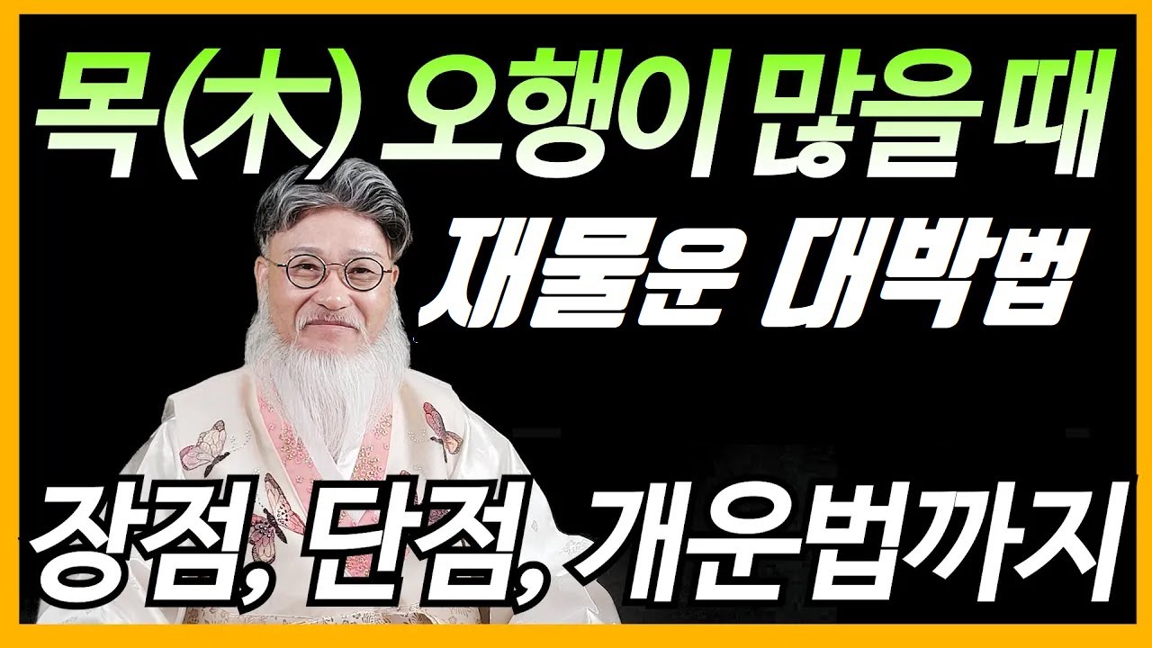 목(木)이 많은 사주 특징과  장단점은 물론, 개운법까지 핵심 요약!!