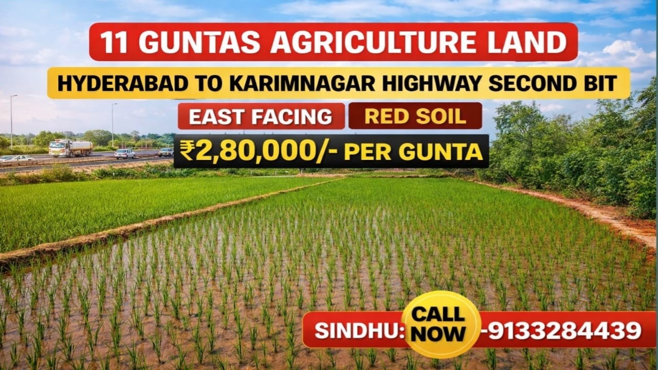 Agriculture land for sale||Near Gajwel||Highway 2nd BIT||11 Guntas #youtube
