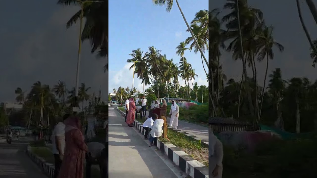 Avenue Planting Minicoy , Agri unit Minicoy/G.Ibrahim PPA